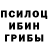 Галлюциногенные грибы Psilocybe Zimbabwe Jim