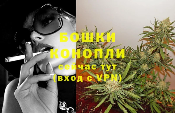 стаф Богданович