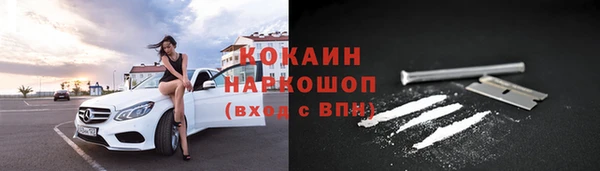 стаф Богданович