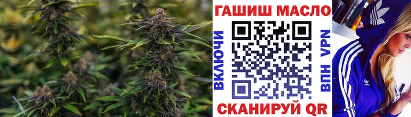 сайты даркнета какой сайт  Заречный  ТГК жижа 
